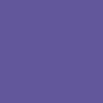 8802茄紫